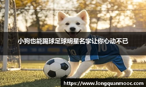 小狗也能踢球足球明星名字让你心动不已